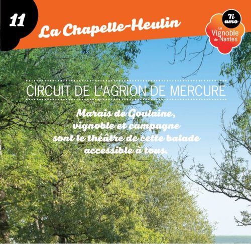 L’Agrion de Mercure circuit card