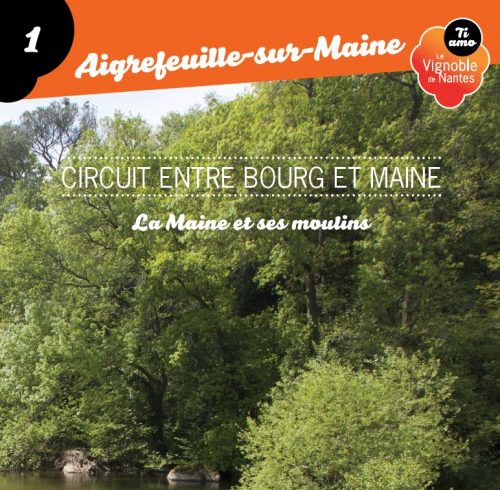 Entre Bourg et Maine in Aigrefeuille sur Maine circuit card