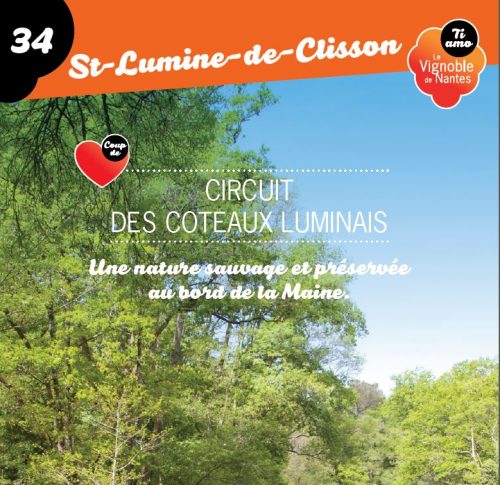 Les Coteaux Luminais circuit card