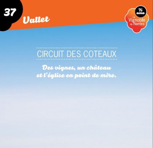 Les Coteaux in Vallet circuit card