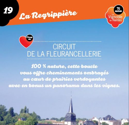 La Fleurancellerie in la Regrippière circuit card