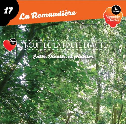 Haute Divatte in la Remaudière circuit card
