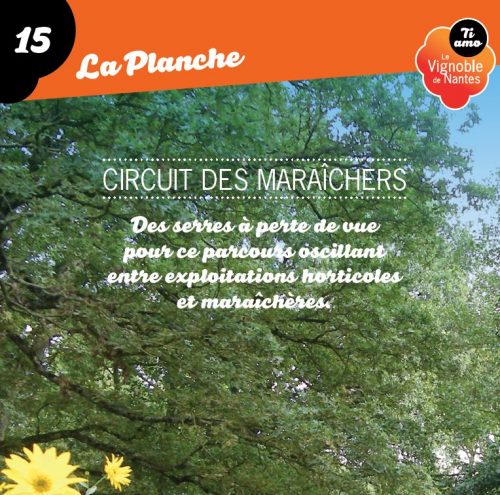 Les Maraîchers in La Planche circuit card