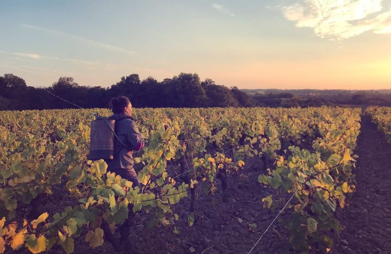 ©Baku_Nagaï_Domaine_Jo_Landron (6)