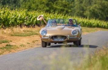 Route des vins “Panoramas de Loire”
