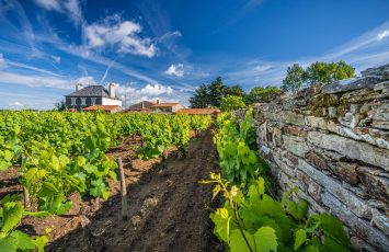 Domaine Jérémie Huchet