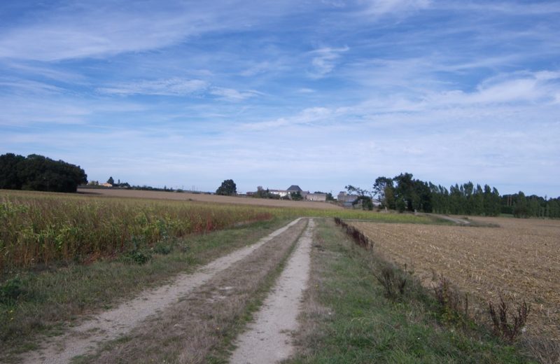 circuit-hte-chapelle-LCBM-levignoblenantes-tour (8)