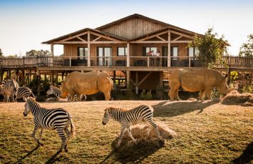 AFRICA LODGES – ZOO DE LA BOISSIÈRE DU DORÉ