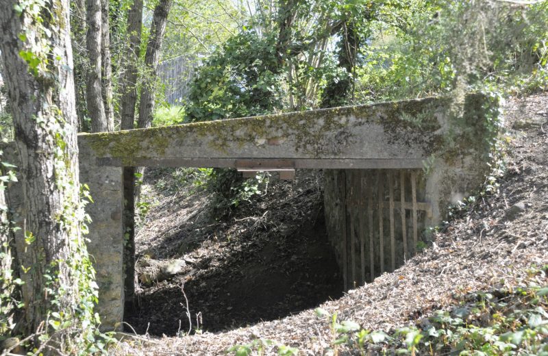 10 – abri de bascule pour peser vagonnet c1