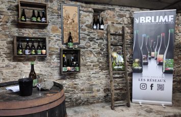 Dégustation Brume : Vins au chanvre