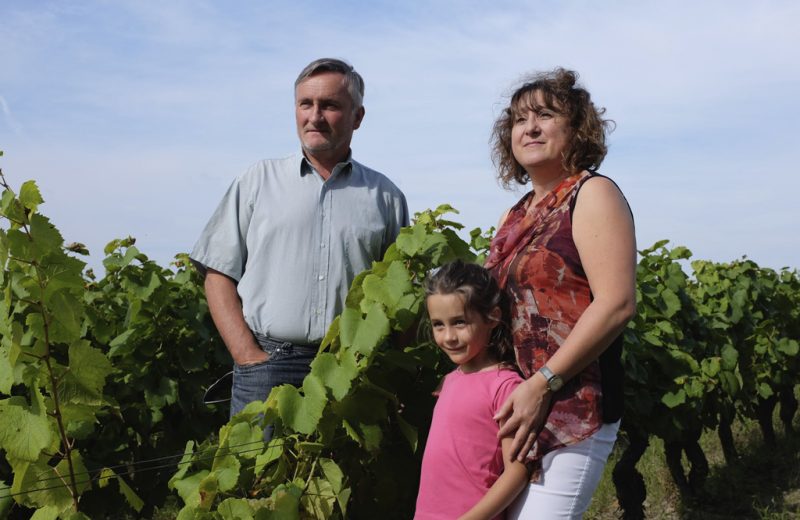 2016-cave-Domaines-Vinet-La-Haye-Fouassière-44-levignobledenantes-tourisme-DEG (5)