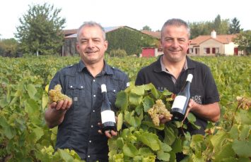 Domaine Martin Luneau
