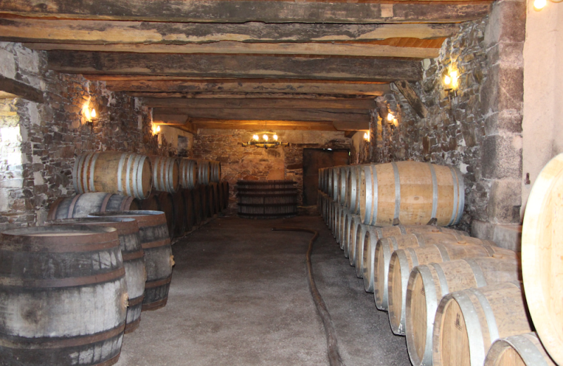 2016-chaisbarriques-nanteswinetour-saintfiacresurmaine-44-levignobledenantes