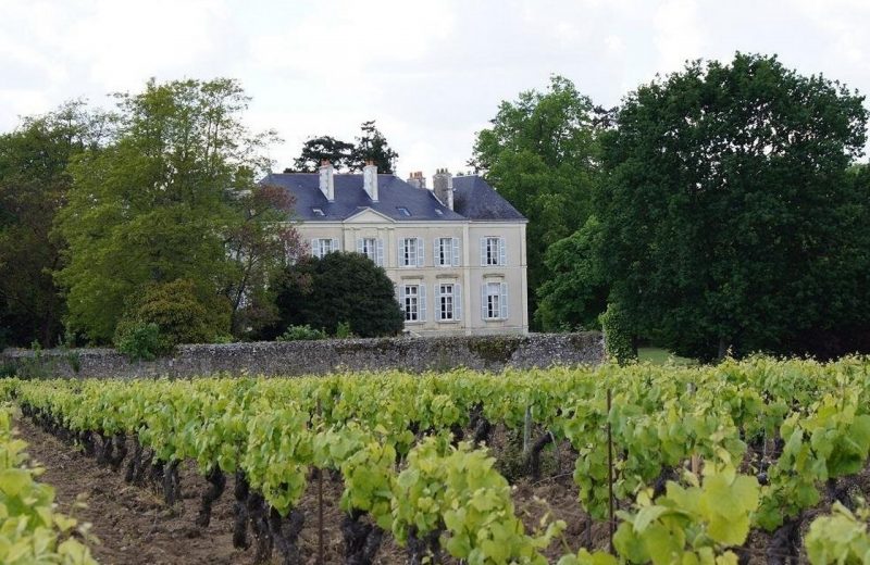 2019-chambre-hotes-les-montys-haute-goulaine-HLO-44-levignobledenantes (8)