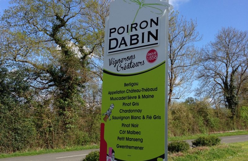 2019-poiron-dabin-chateautheabaud-44-levignoblenantes