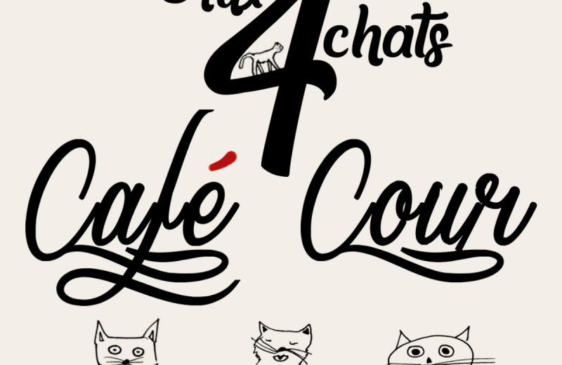 2020GT-Aux4chats-maisdon-44–Copier-