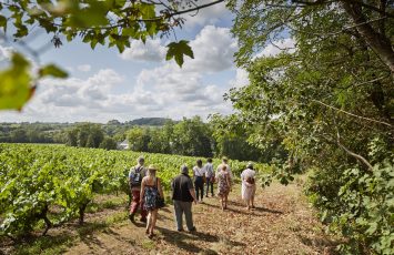 Wine Tours : Escapade en Muscadet