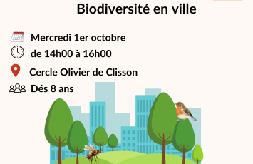 La nuit de la chouette à Clisson – 7
