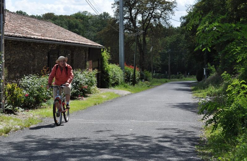 Boucle-vignoble-a-velo-bretagne-anjou-la-boissietr-du-dore-44-ITI (4)