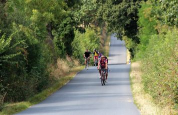 BOUCLE CIRCUITS VIGNOBLE À VÉLO ENTRE LOGNE ET SANGUÈZE