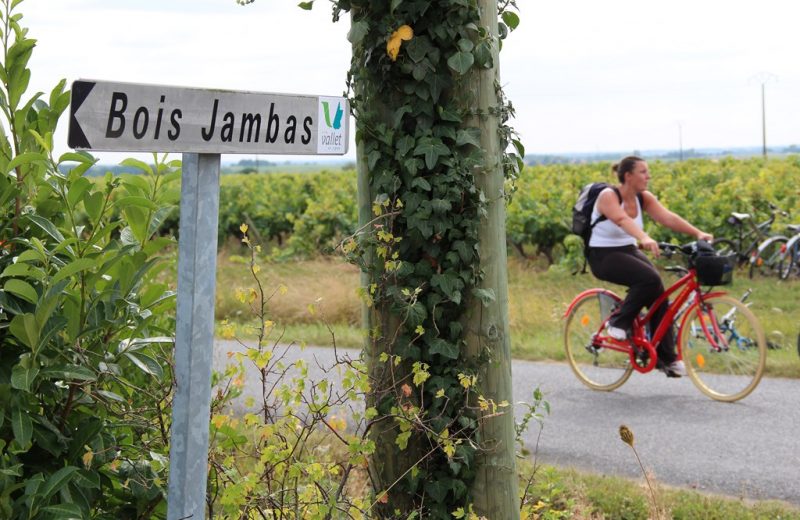 Boucle-vignoble-a-velo-logne-sanguèze-vallet-44-ITI (3)