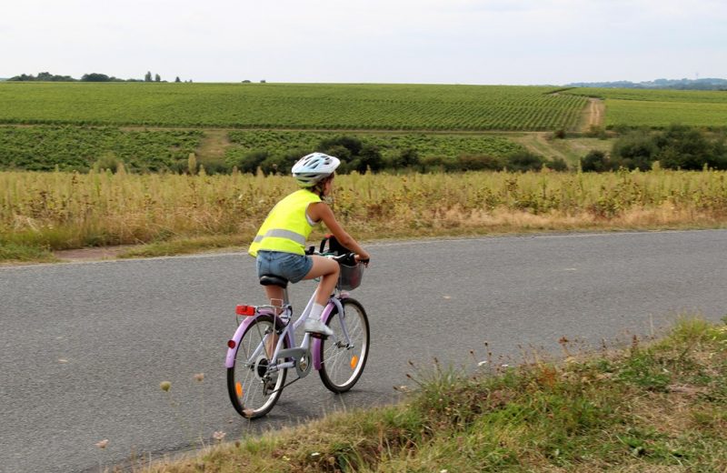 Boucle-vignoble-a-velo-logne-sanguèze-vallet-44-ITI (4)