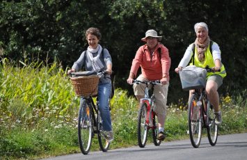 Boucle-vignoble-a-velo-vigne-bocage-la-regrippiere-44-ITI (5)