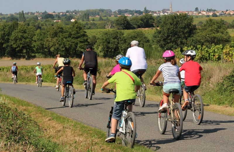 Boucle-vignoble-a-velo-ville-terroirs-mouzillon-44-ITI  (3)