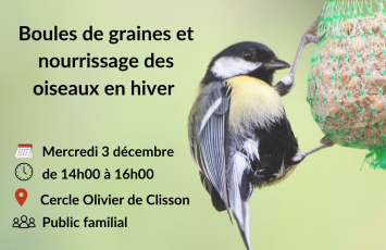 La nuit de la chouette à Clisson – 9