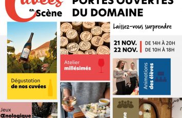 Chateau_briacé_portes_ouvertes_2025