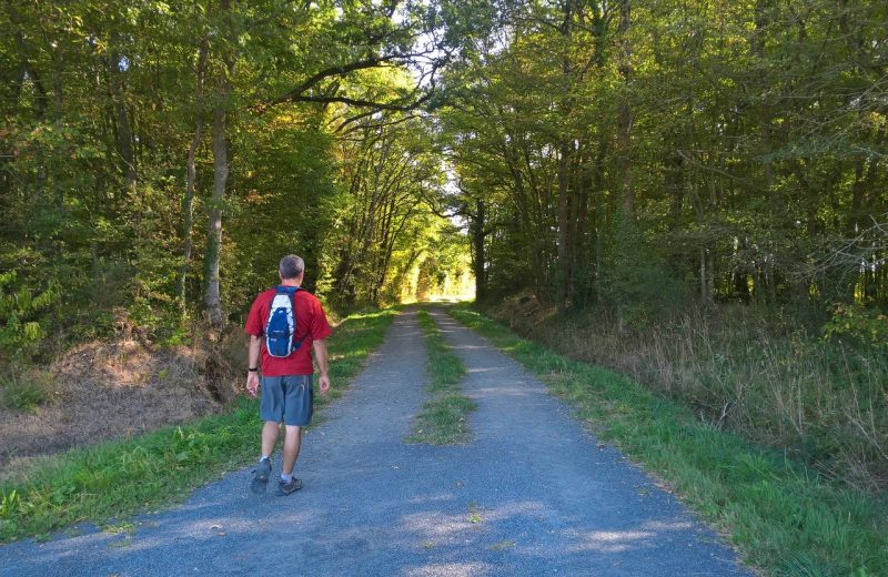 Circuit de Maine en vignes – chemin
