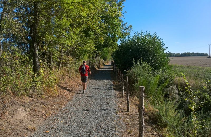 Circuit de Maine en vignes – liaison douce 2