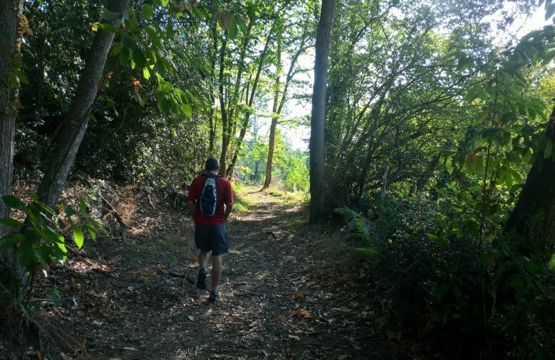 Circuit de Maine en vignes – sentier Maine2