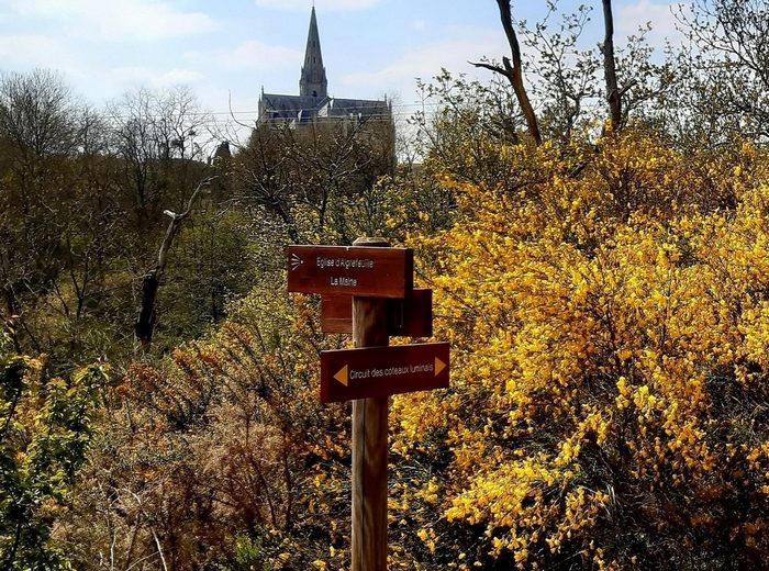 Circuit des coteaux luminais (5)