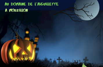 Course d’orientation – 1