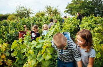 MUSEE DU VIGNOBLE NANTAIS