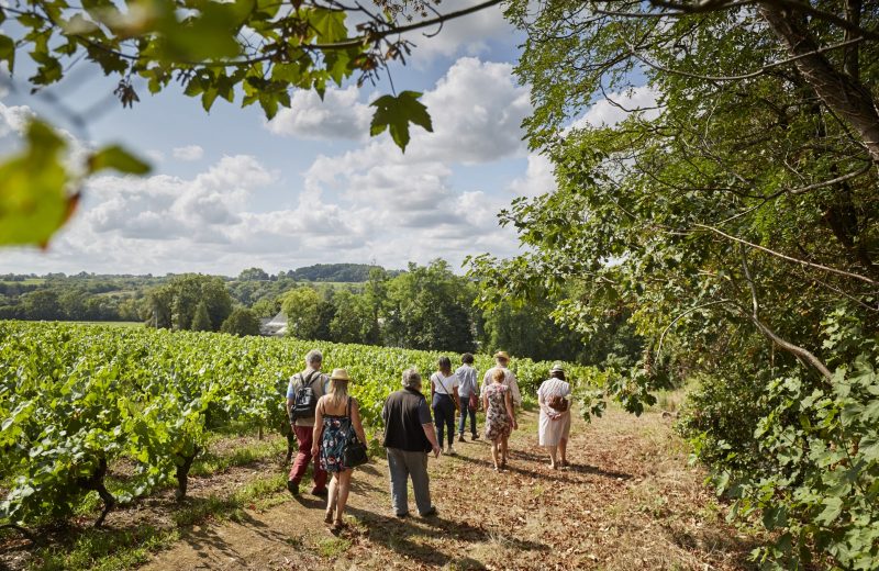 Escapade en muscadet (2)