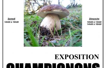 Exposition-Champignons-25-26-octobre-pdf