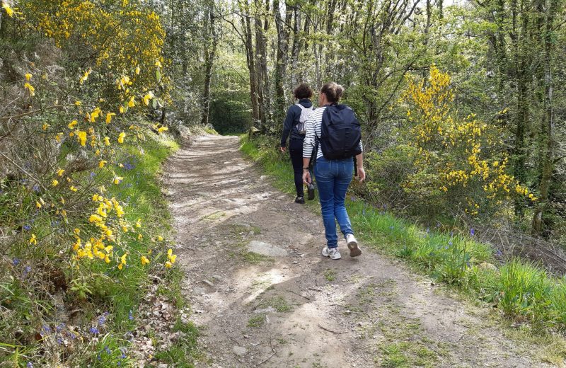 GRP Maine entre Maisdon sur Sèvre et Saint Lumine