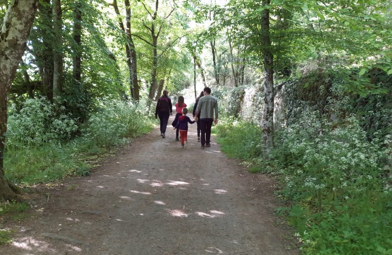 GRP à Gorges vers le Liveau