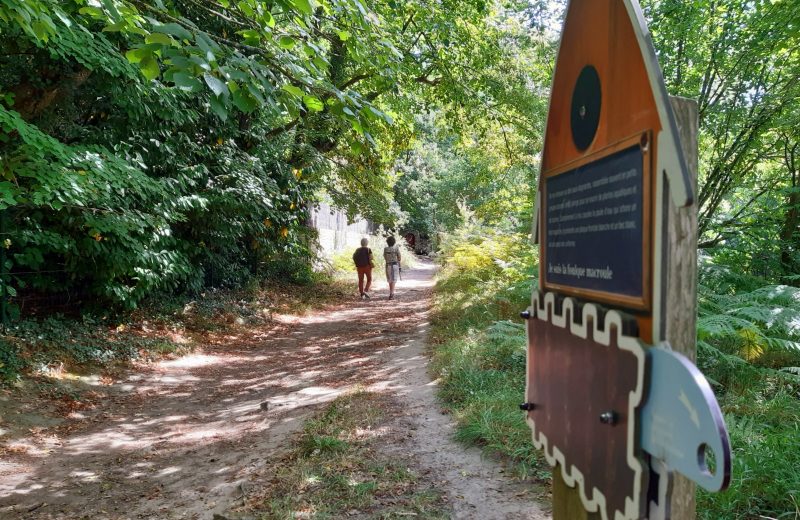 GRP entre Clisson et Gétigné