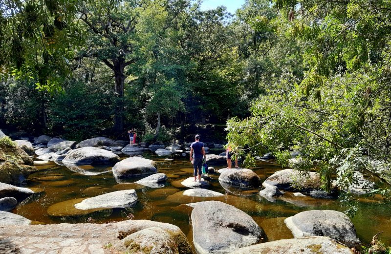 La Sèvre au Moulin Neuf (2)