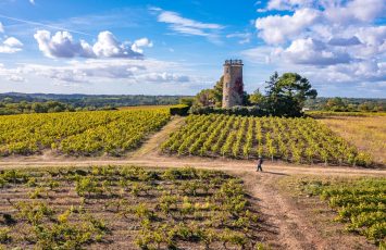 La haye fouassiere vignoble de nantes tourisme credit lad-clo et clem 2021 (1)