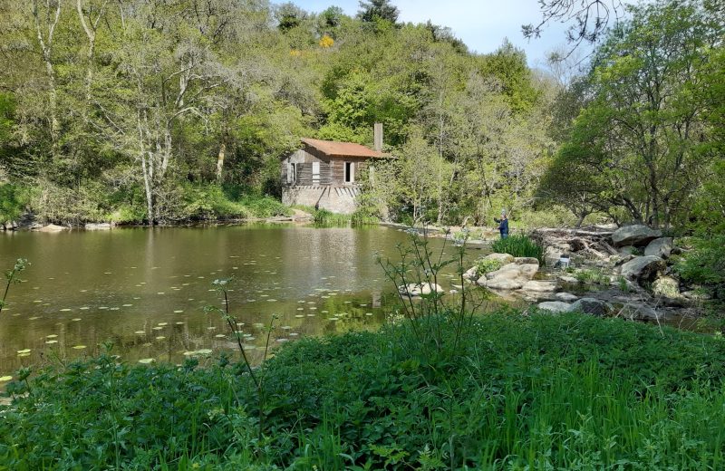 Maine à Saint Lumine de Clisson