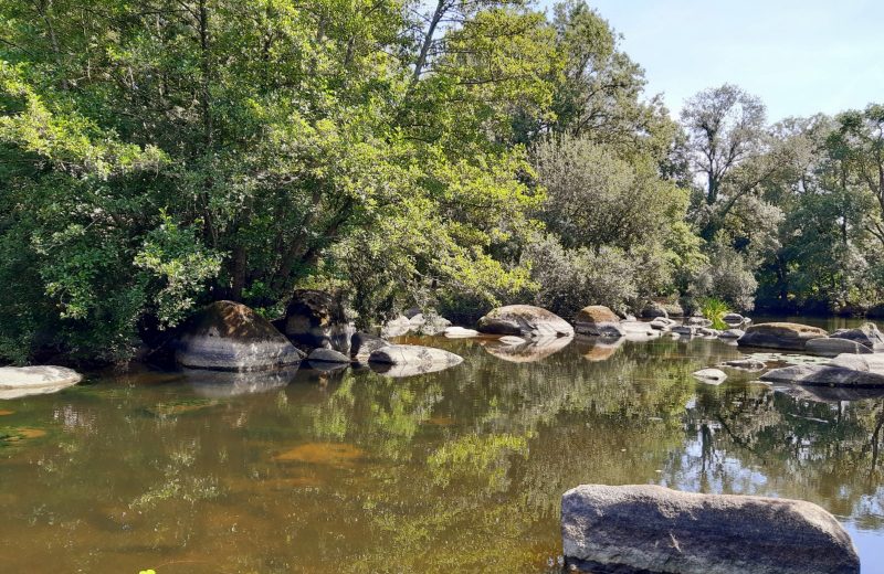 Moulin neuf sevre