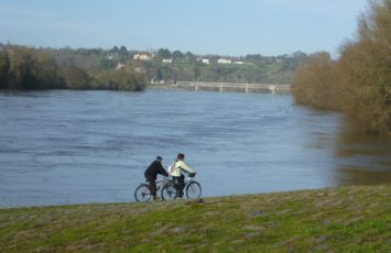 La Loire à La Chapelle-Basse-Mer