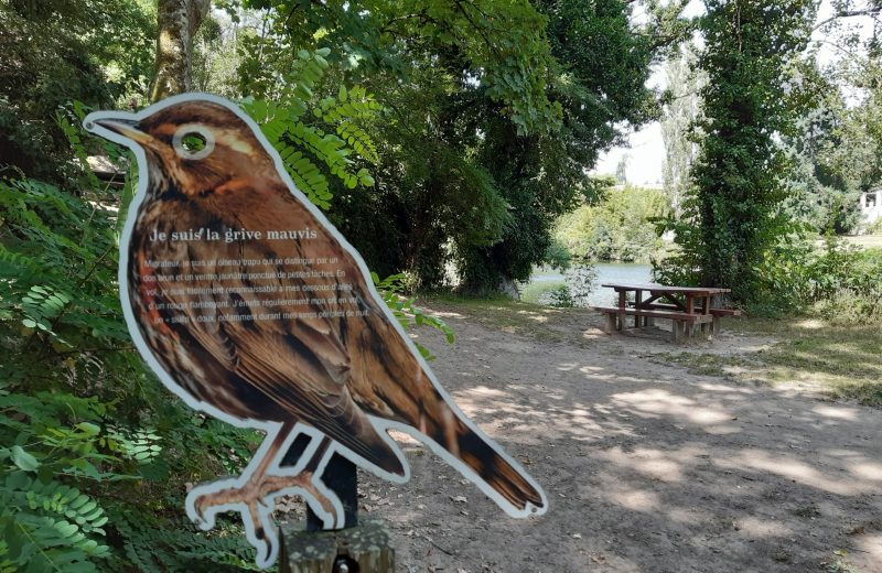 Parc Henri IV et mobilier oiseau (2)