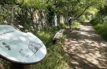 PARCOURS FAMILLE MURMURES DE ROCHERS « PISTE AUX EMPREINTES »