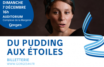 Site Internet et panneau lumineux – 286