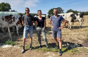 Tommes et Compagnie